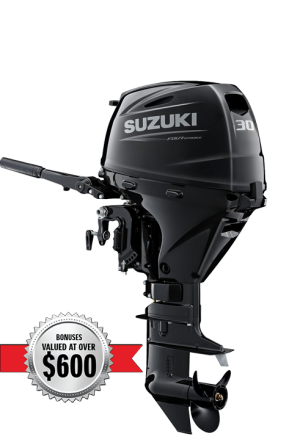 DF30 Tiller Outboard